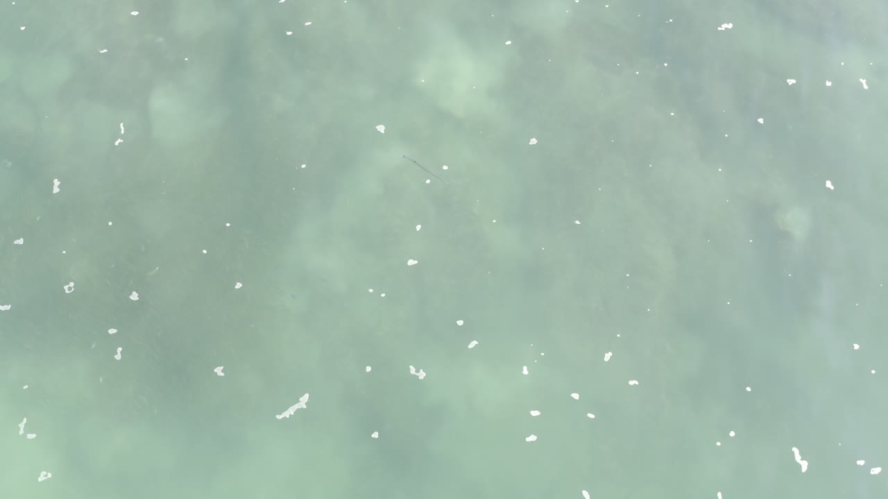 Pale green water in Los Cabos, Mexico fills the opening frame with small white foam flecks and no visible people.