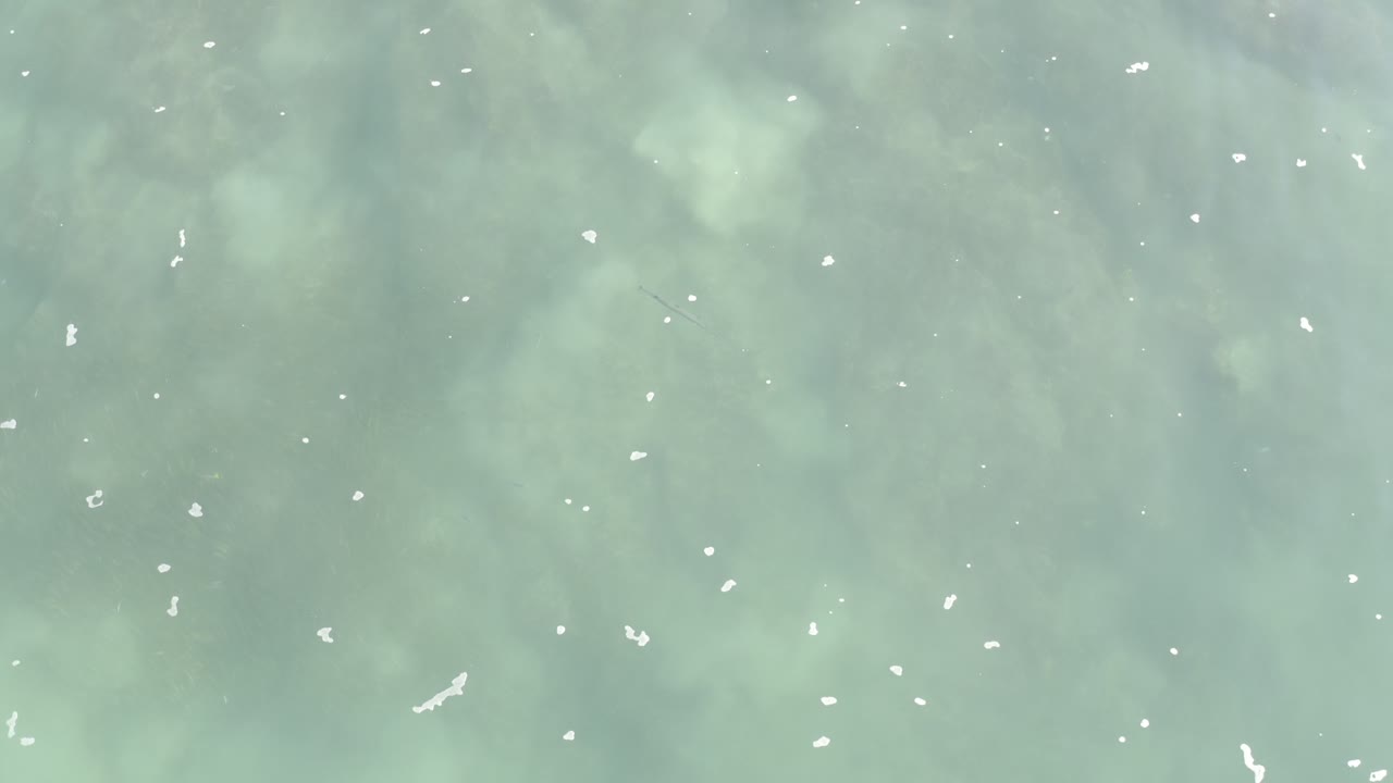 Green water with faint darker patches below the surface.