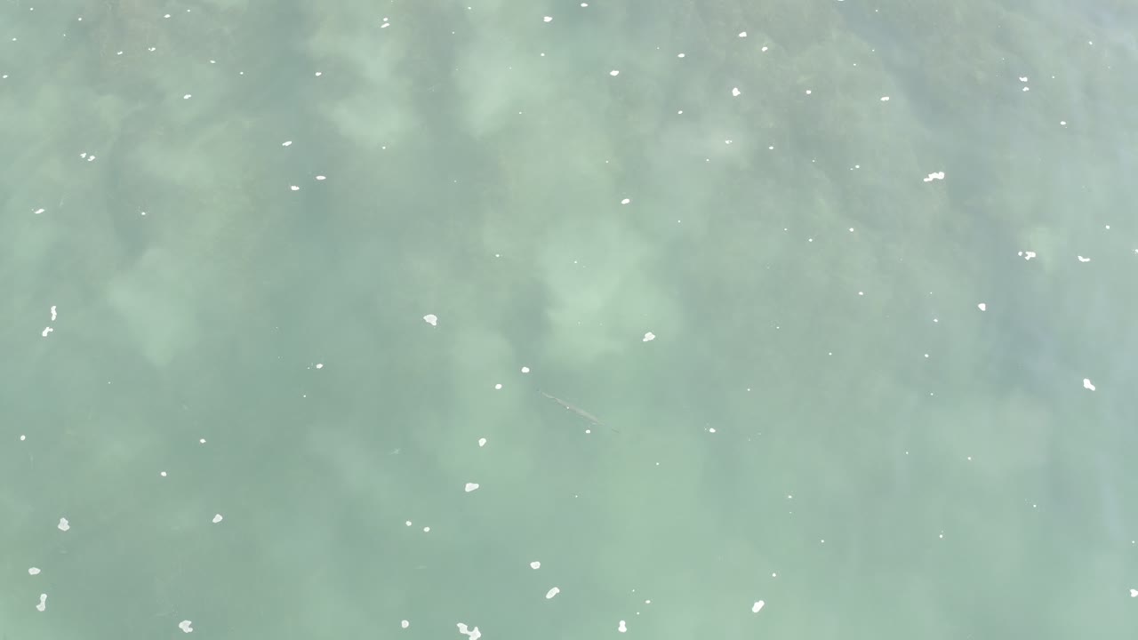 Overhead view of pale turquoise water in Los Cabos with scattered white surface flecks, soft underwater shadows, and no visible people at the opening moment.