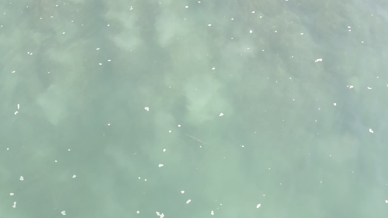 A later overhead frame shows green-blue Los Cabos water with more dispersed white flecks and subtle darker patches below the surface, with no visible people.
