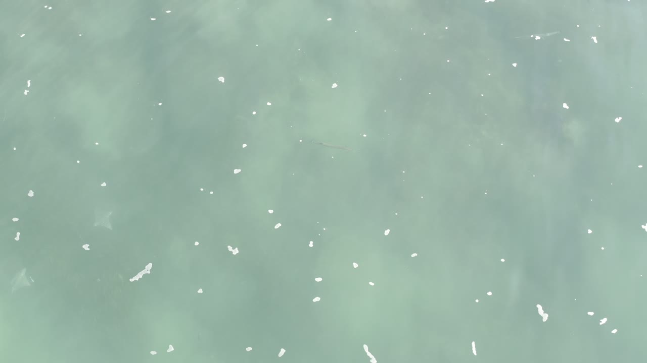 Overhead Los Cabos water frame with light green sea color, faint darker patches beneath the surface, scattered foam specks, and no visible people.