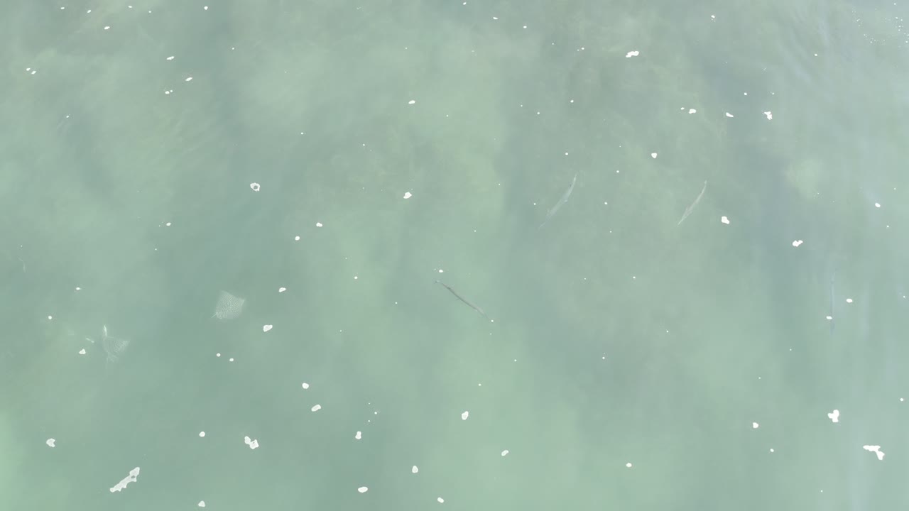 Pale green-blue water with scattered white flecks.