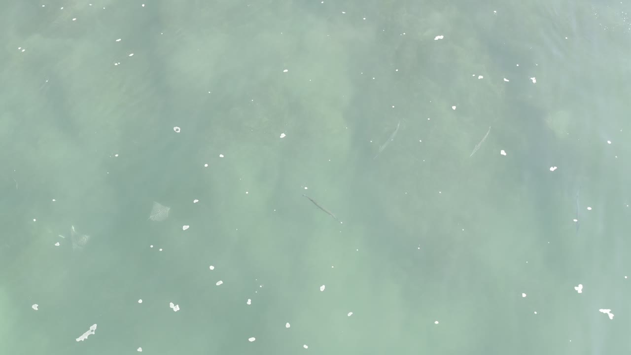 Overhead Los Cabos water frame with muted turquoise color, scattered white surface marks, and no visible people.