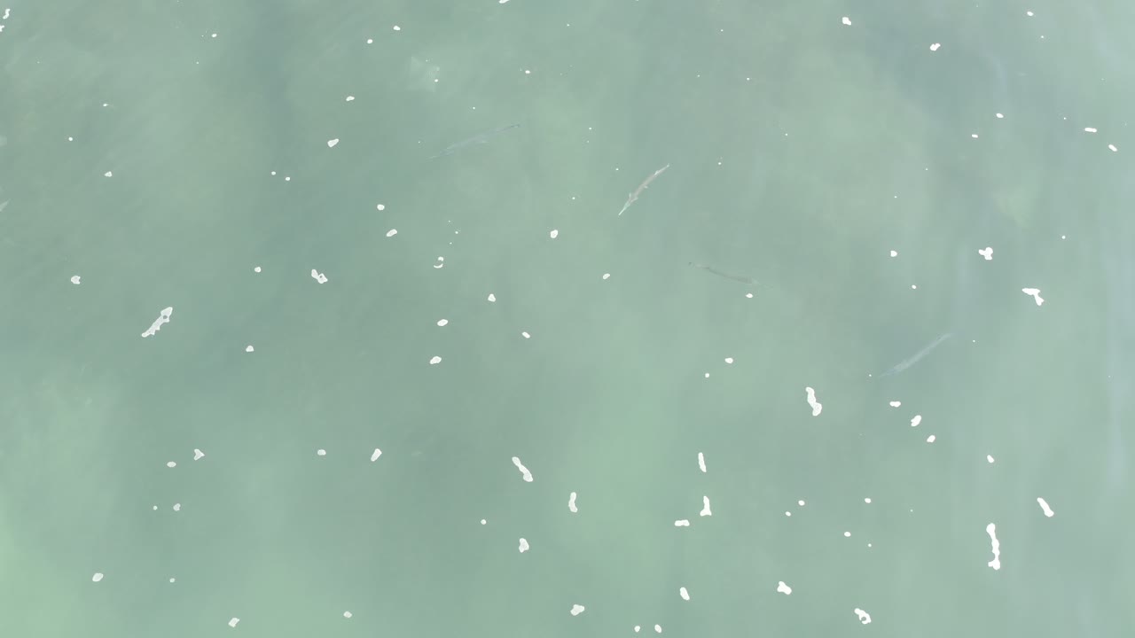 At the start of the Los Cabos clip, pale turquoise-green ocean water fills the frame with small white foam flecks and no visible people.