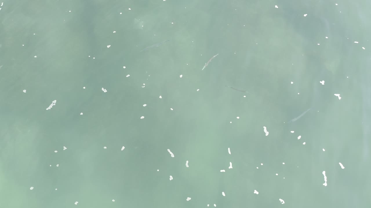 One second into the Los Cabos clip, the water surface shows faint darker underwater patches, scattered white foam marks, and no visible people.