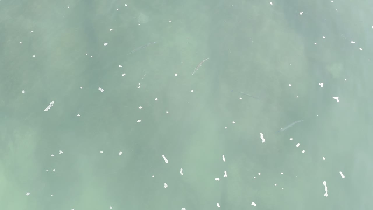 Top-down turquoise water with small foam streaks across the frame.