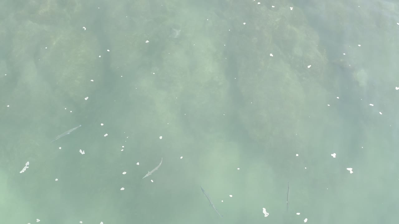 Overhead view of pale blue-green seawater in Los Cabos, Mexico, with small white foam flecks across the surface and no visible people.