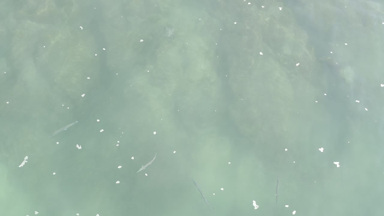A slightly different overhead moment of Los Cabos seawater shows turquoise color, sparse white foam marks, and faint darker shapes below the surface with no visible people.