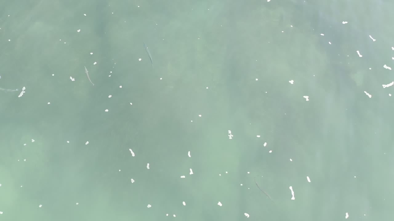 Pale green cloudy ocean water in Los Cabos fills the frame at the start of the clip, with scattered white foam flecks and no visible people.