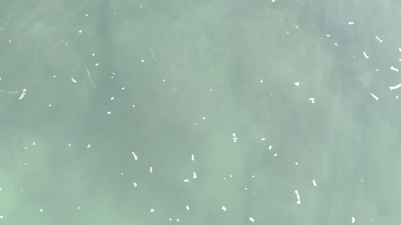 Cloudy green ocean water in Los Cabos remains tightly framed, with small white foam marks spread across the surface and no visible people.