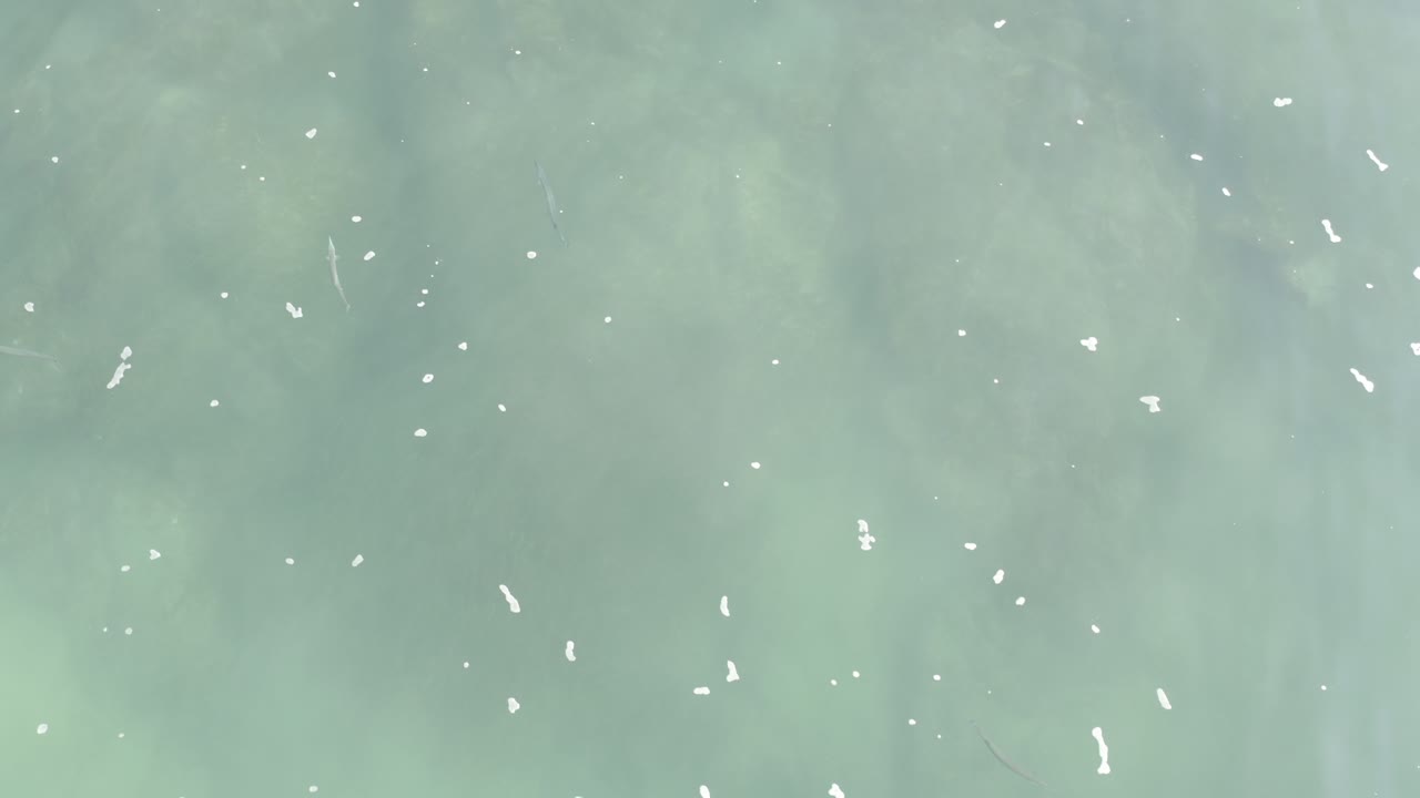 Soft aqua ocean surface with drifting white specks.