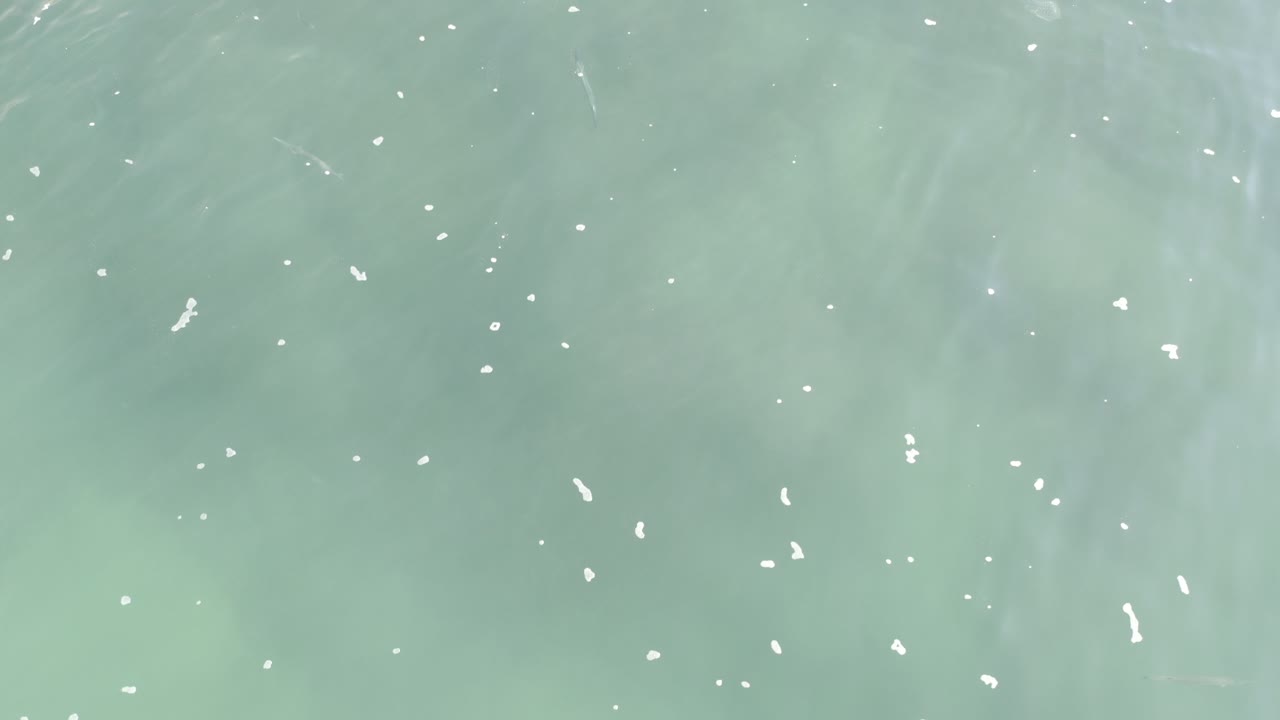 Top-down view of clear turquoise water in Los Cabos, Mexico, with small white surface flecks and faint underwater texture, no visible people.