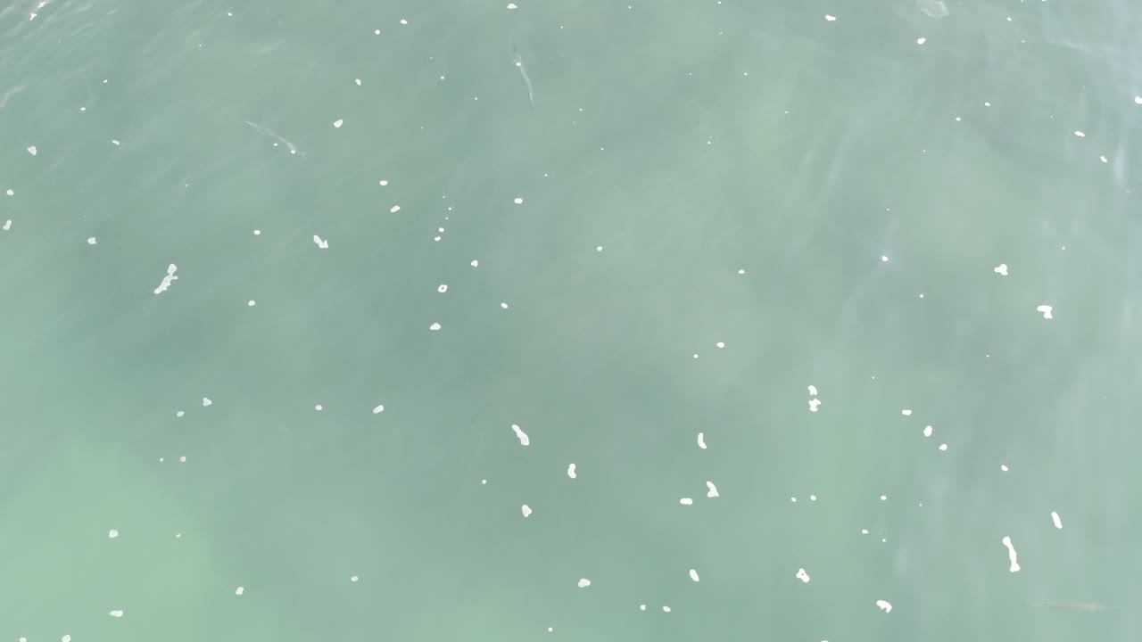 Overhead Los Cabos water frame showing pale aqua sea, scattered white specks on the surface, and darker submerged patches beneath, no visible people.