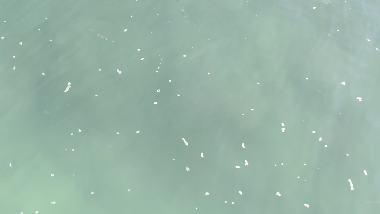 Transparent green-blue water with fine white flecks across the surface.