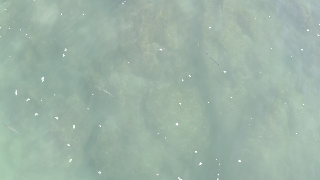 Pale green ocean surface with small white flecks