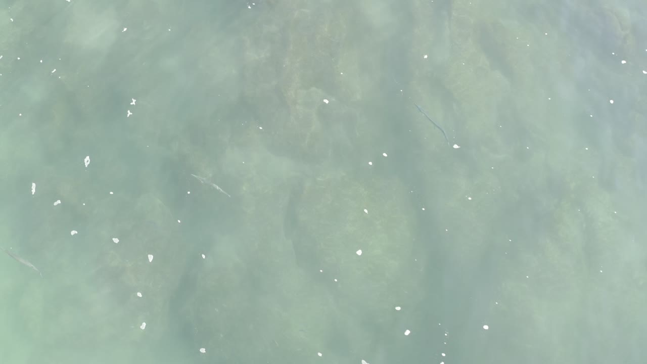 Overhead Los Cabos water frame with muted green tones, soft ripples, brighter surface specks, and no visible people.
