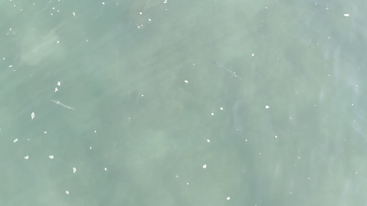 Aerial frame of Los Cabos gray-green water with more white flecks across the surface and cloudy underwater texture, with no visible people.