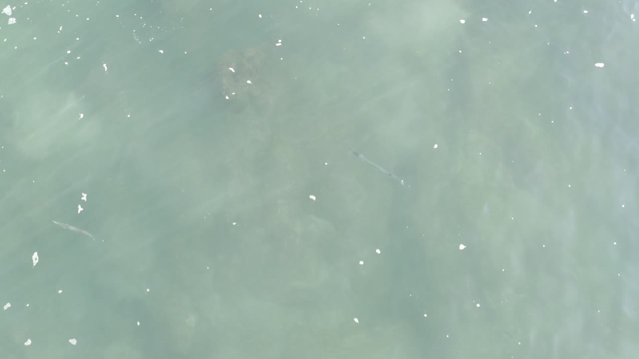 Overhead water with pale debris and subtle submerged shapes