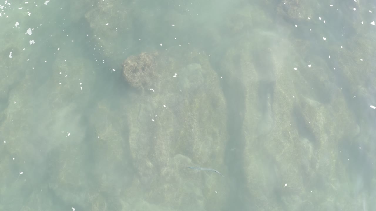 Top-down view of pale turquoise ocean water over submerged rocks in Los Cabos, Mexico, with small white flecks on the surface and no visible people.