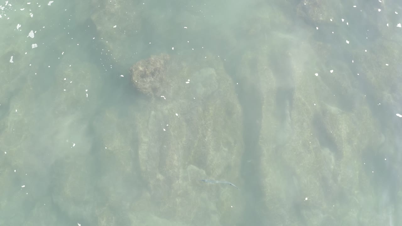 Aerial frame of clear green-blue water in Los Cabos, Mexico, with long rock forms visible beneath the surface and no visible people.