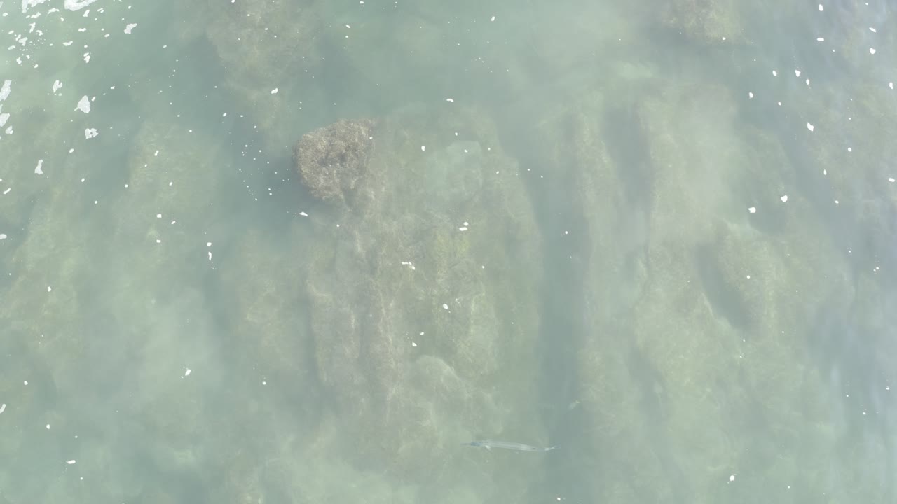 Pale ocean surface with submerged rock and bright specks