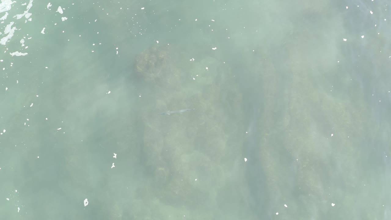 Overhead Los Cabos water frame with soft green-blue color, scattered foam specks, darker underwater rock forms, and no visible people.
