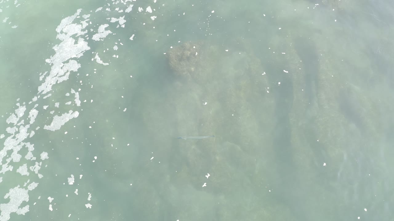 Overhead Los Cabos ocean frame with a thicker white foam band near the left center, pale green-blue water, faint coral or rock patches, and no visible people.