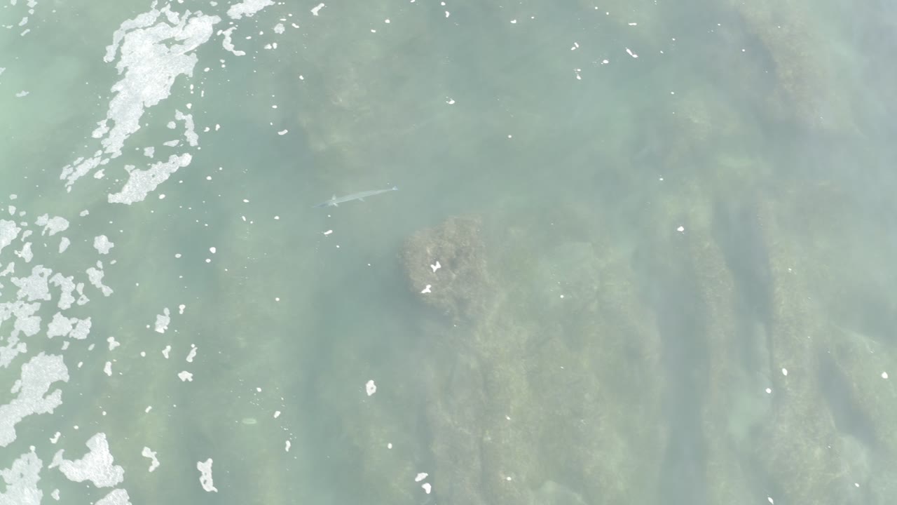 Overhead view of pale turquoise water in Los Cabos with white foam along the left side, dark submerged rocks beneath the surface, and no visible people.