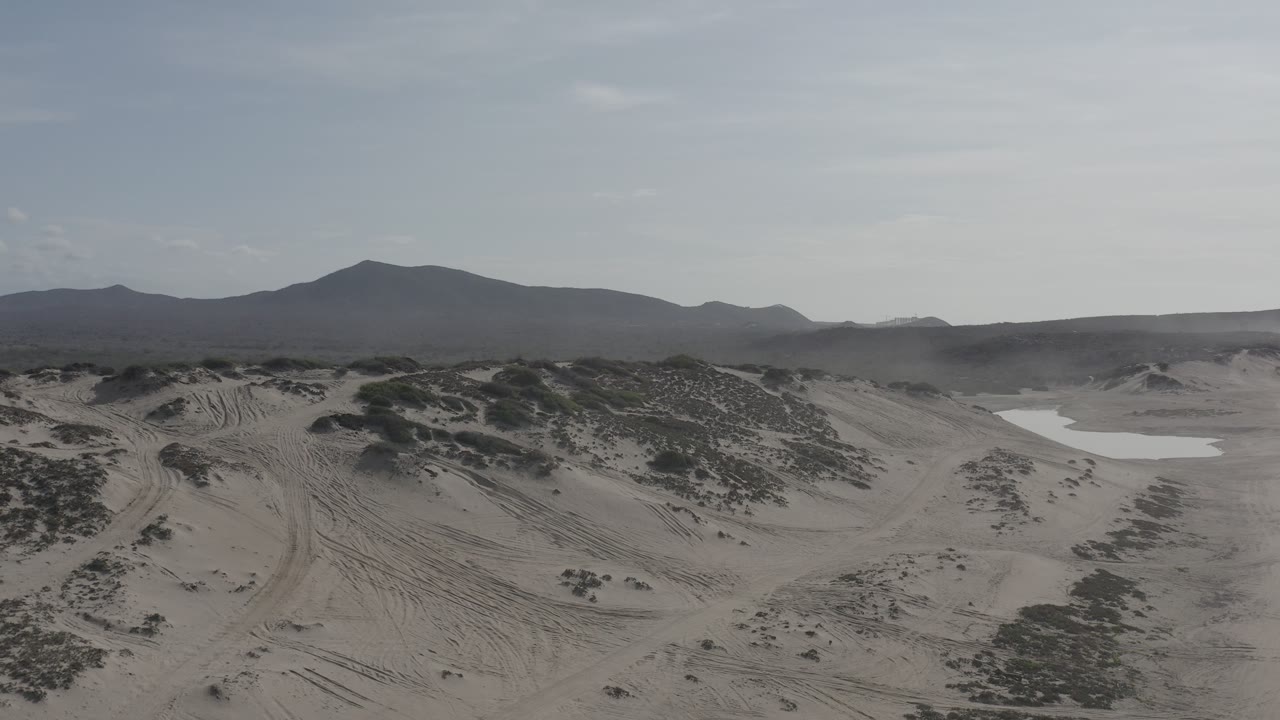 Sandy desert ridge with tracks, shrubs, and pale patch