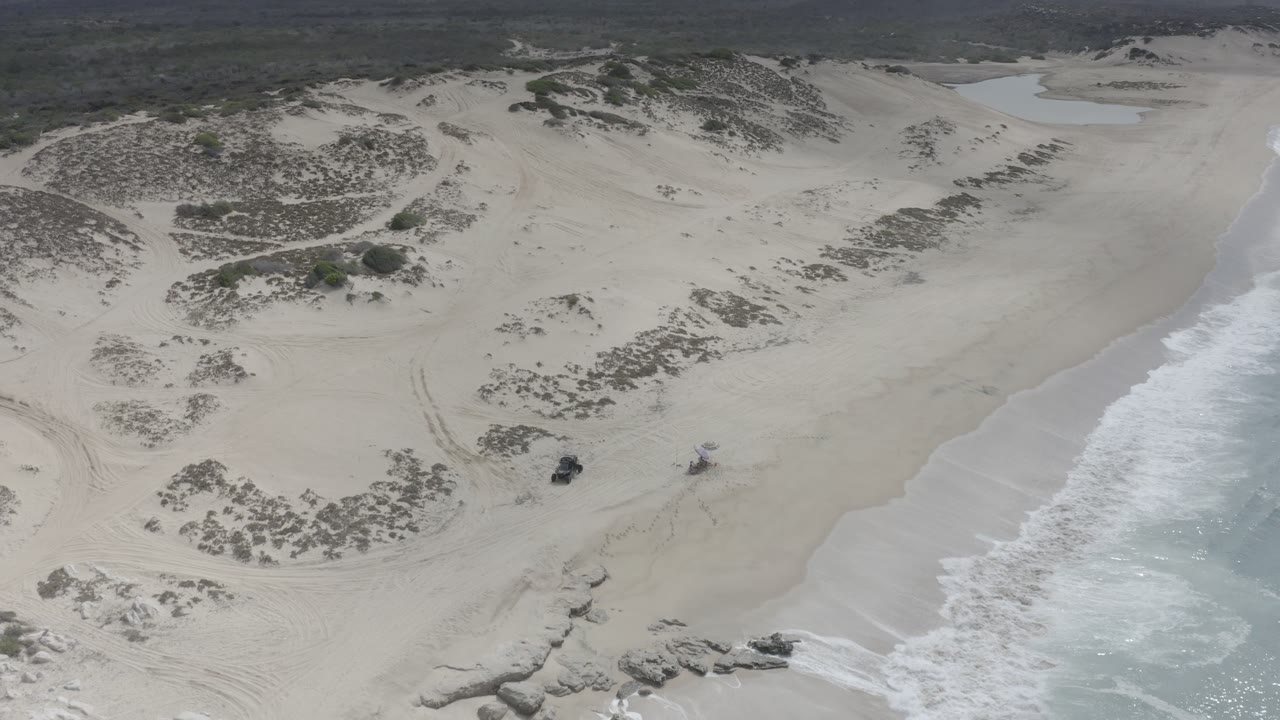 Aerial frame over Los Cabos gray sand where dune patches curve across the beach and a band of breaking ocean waves pushes up the right shoreline, with no visible people.