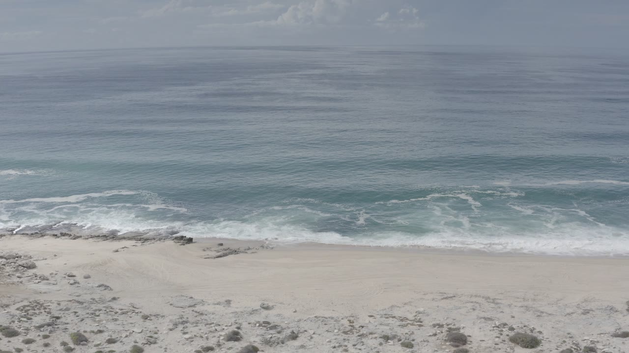 Empty beach with surf and scattered dune vegetation.