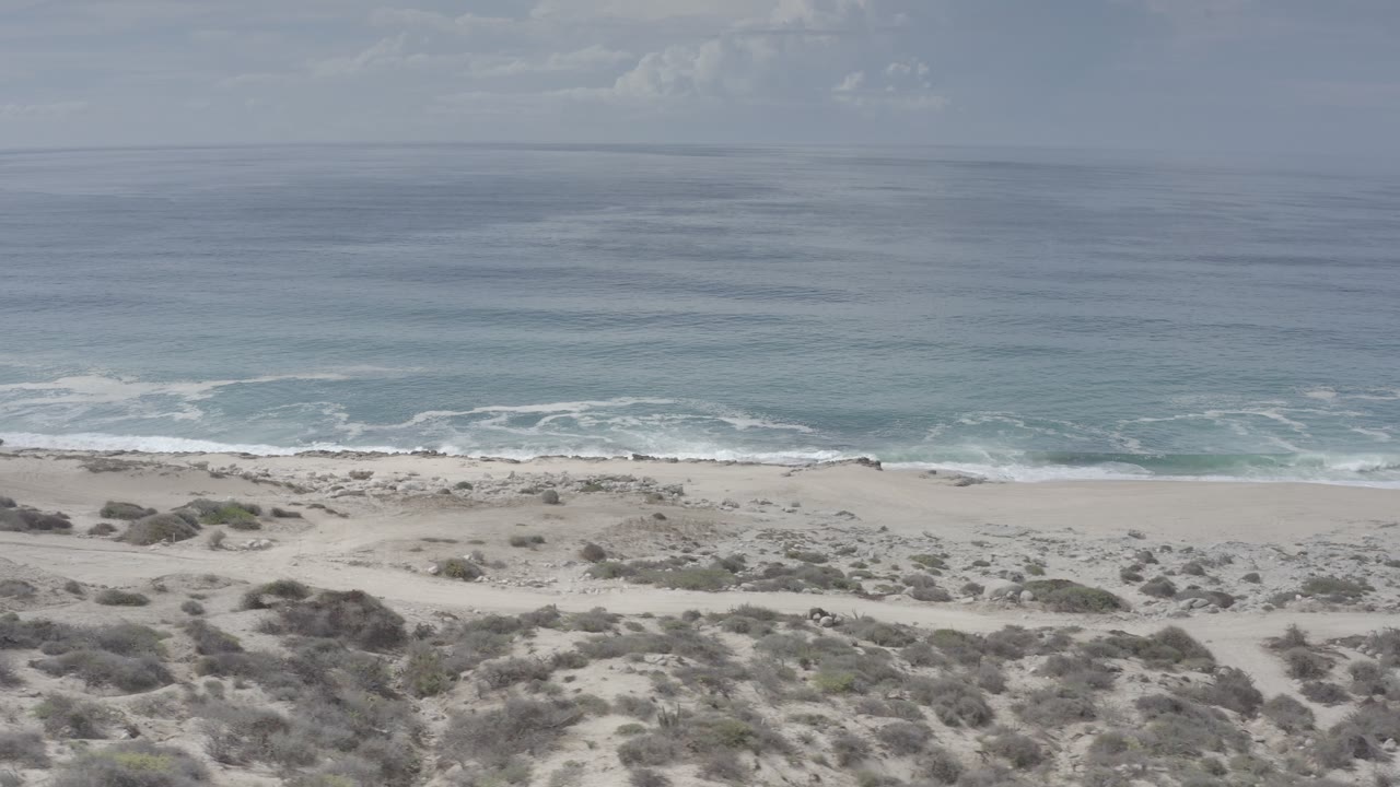 High coastal view of beach scrub, wave foam, and hazy ocean