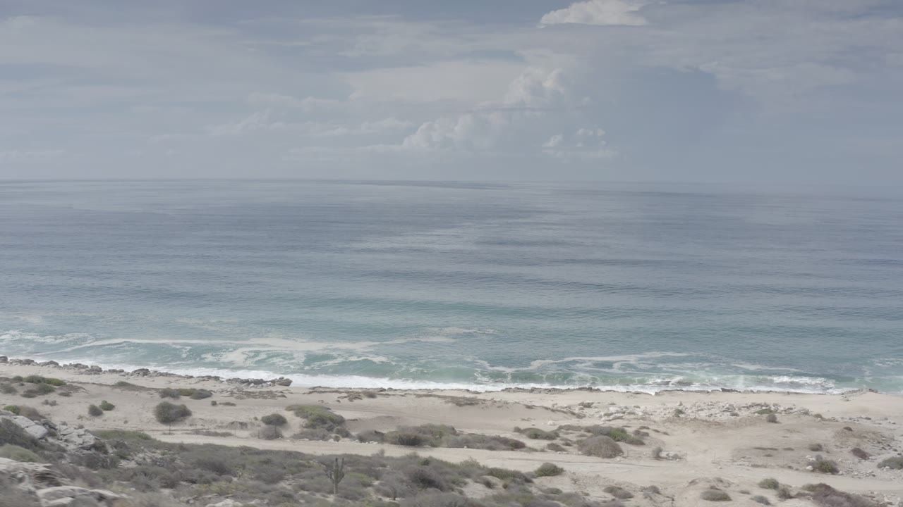 Los Cabos beach frame showing foamy surf spread along the shore, scrub-covered sand in the foreground, calm ocean beyond, and no visible people.