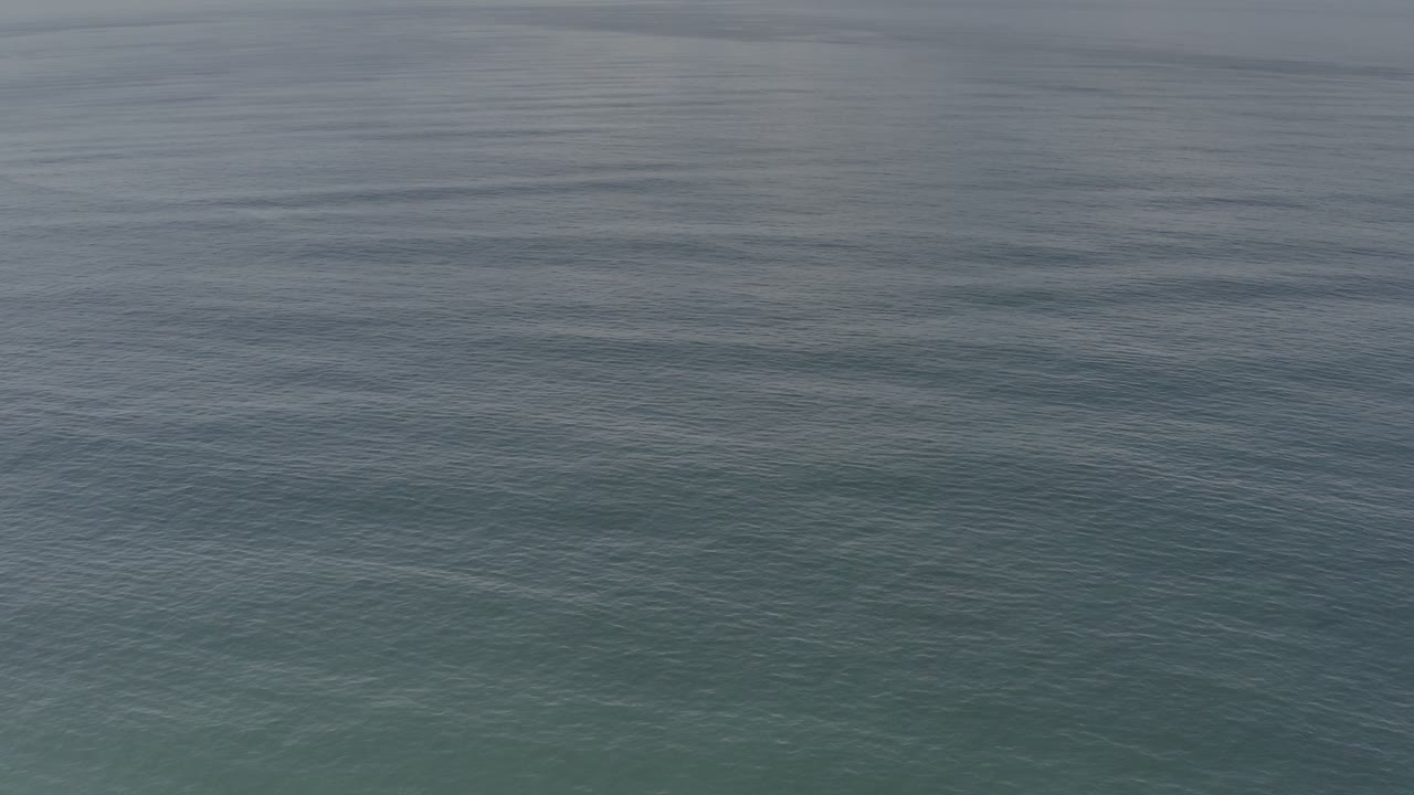Dark rippled ocean surface fills the frame.