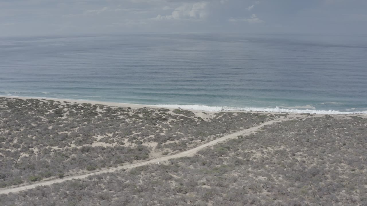 Aerial view of scrub-covered coast beside a blue ocean