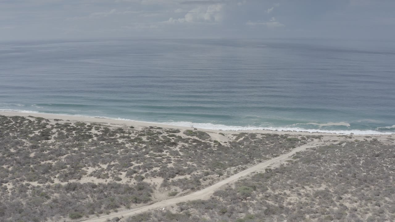 Bird's-eye coastal view with scrub foreground, beach, surf, and open ocean.