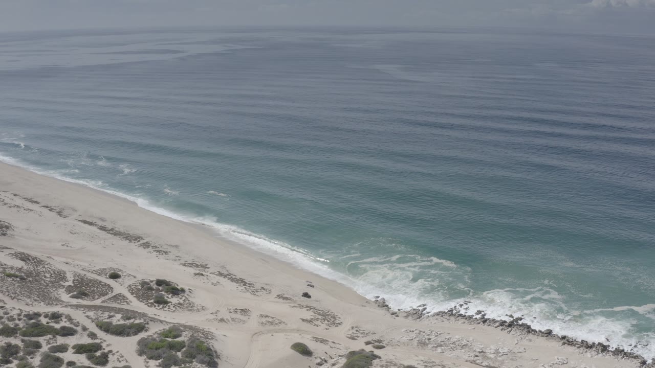 Aerial view of surf reaching a sandy beach with low shrubs.
