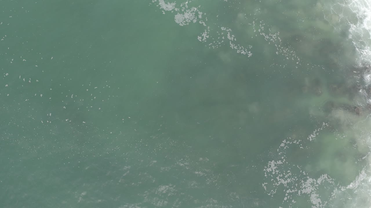Overhead view of murky green-blue coastal water in Los Cabos, Mexico, with white foam gathering near the right edge and no visible people.