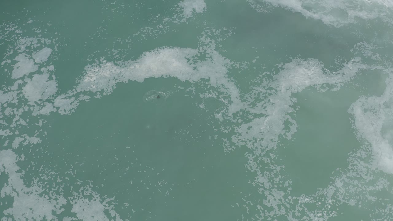Foamy ocean surface with pale green patches.