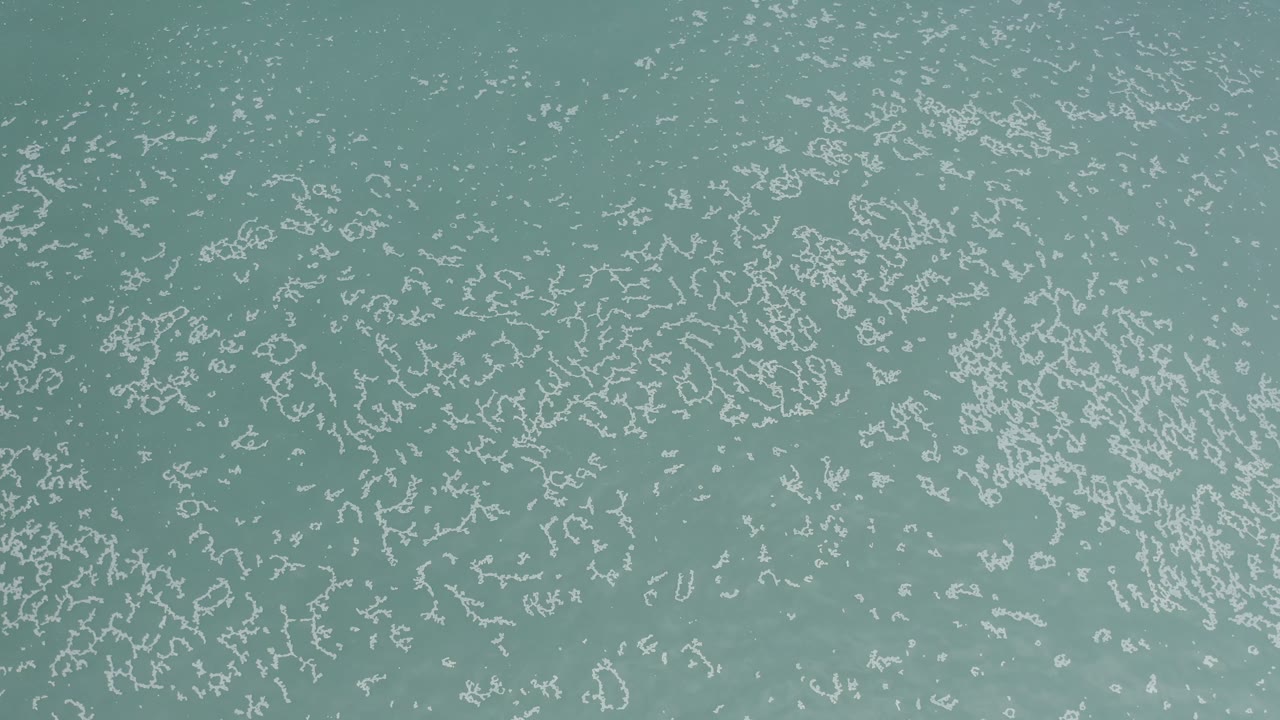 High-angle view of pale green ocean water in Los Cabos, Mexico, with scattered white foam marks across the surface and no visible people.