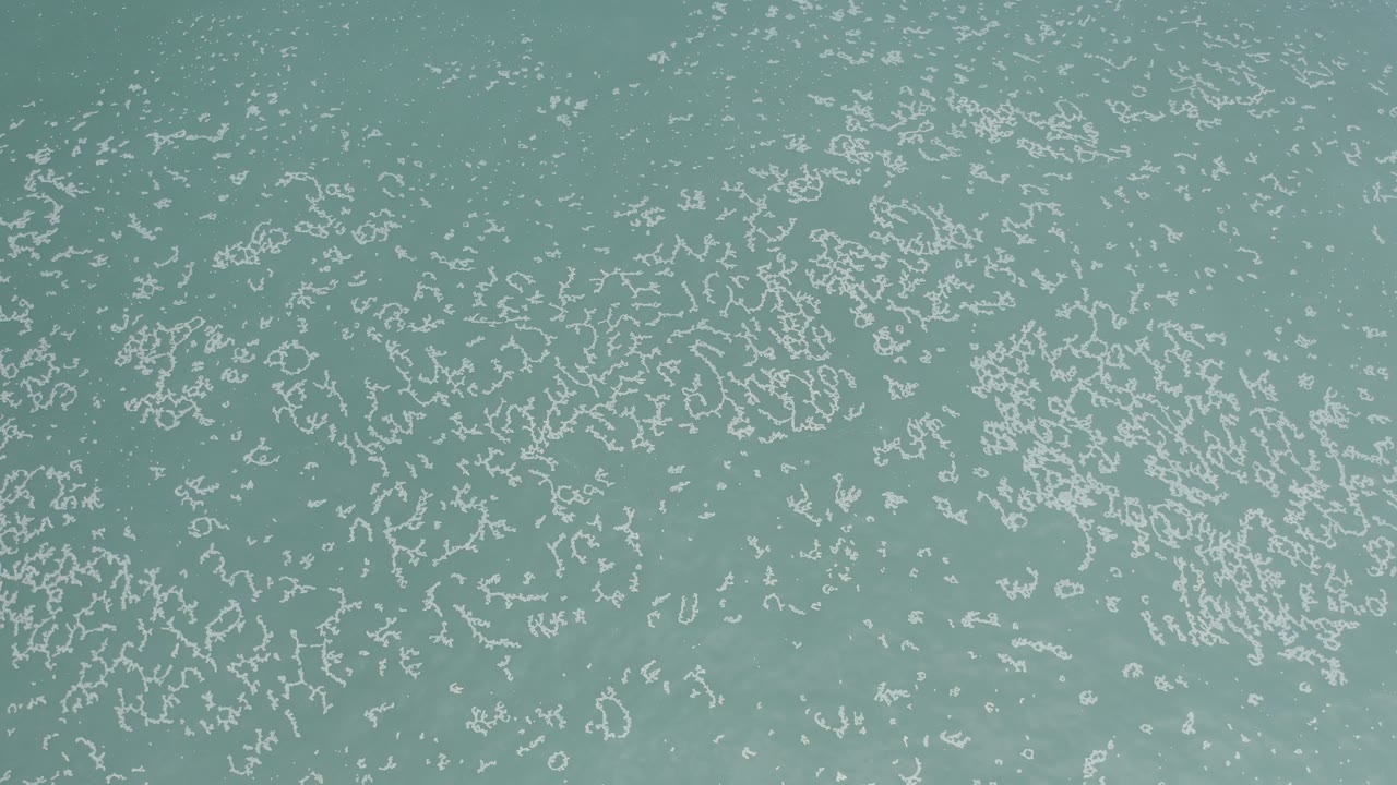 Turquoise-green ocean water in Los Cabos, Mexico, with fine gray-white seafoam spread across the surface and no visible people.