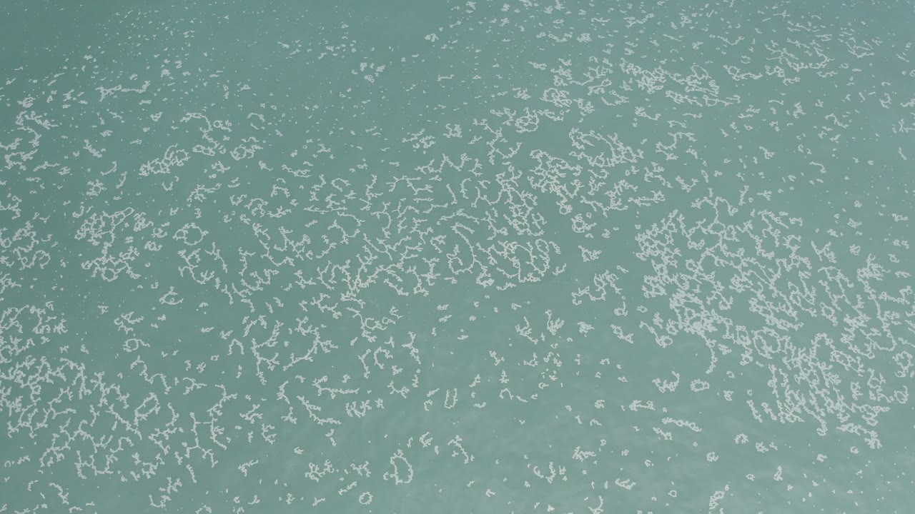 Pale green water in Los Cabos, Mexico, filled with thin broken seafoam lines and no visible people or shoreline.