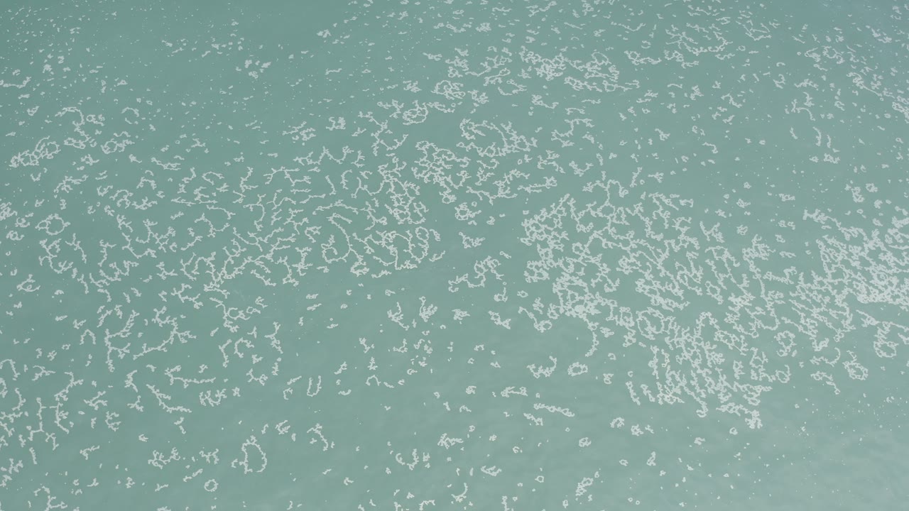 Pale blue-green water with scattered white foam lines.