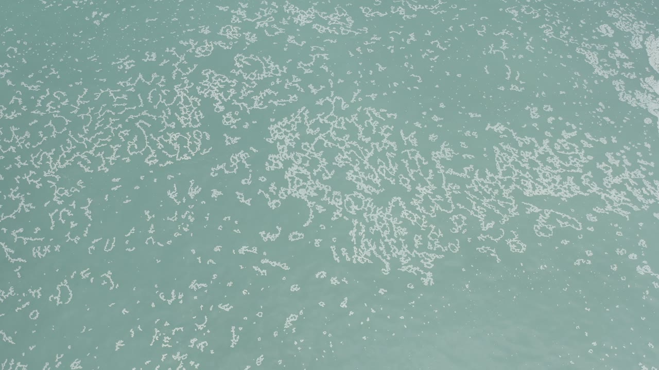 Aerial-looking frame of Los Cabos water with dense white surface flecks near the top and softer blue-green water below, with no visible people.