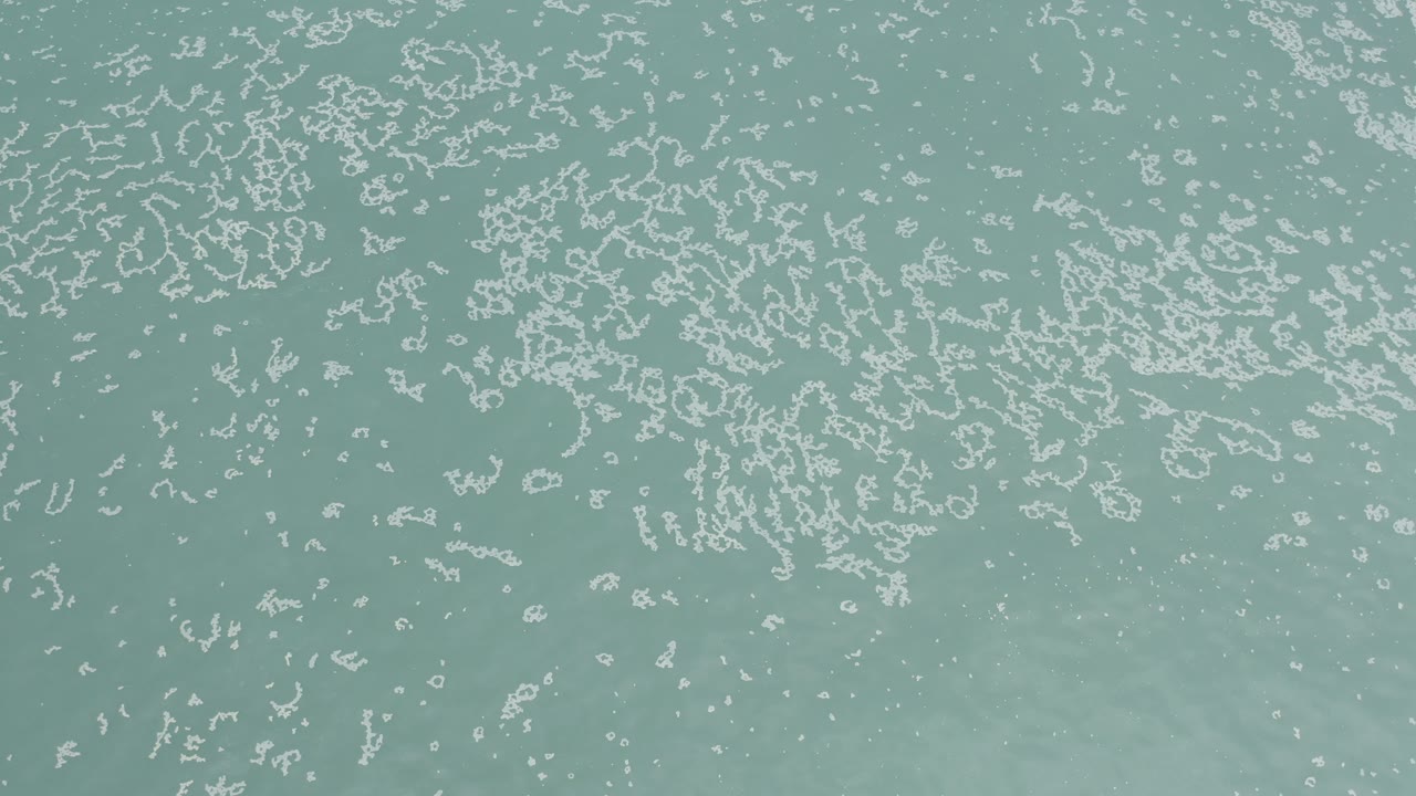 Overhead view of white foam-like masses spread across lime green water in Los Cabos, Mexico, with no visible people.