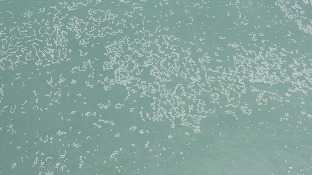 White surface masses cluster across pale green water in Los Cabos, Mexico, with subtle tonal variation under the surface and no visible people.