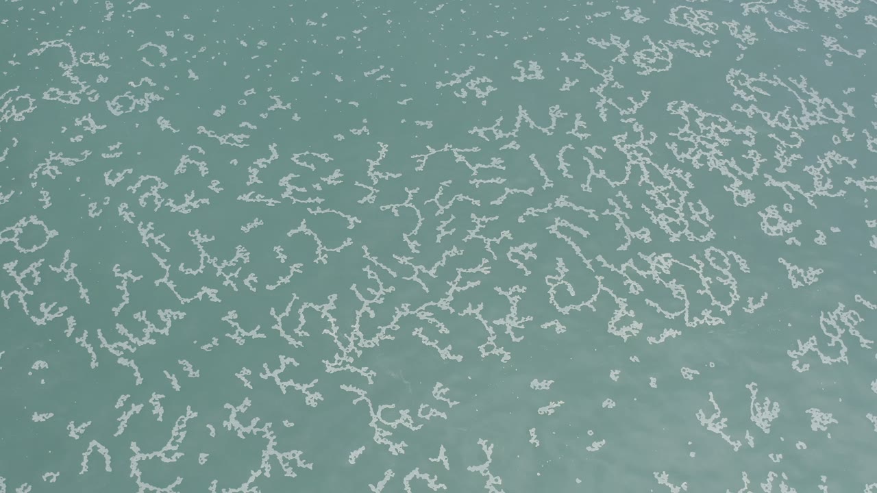 Blue green ocean surface with scattered white foam-like patterns