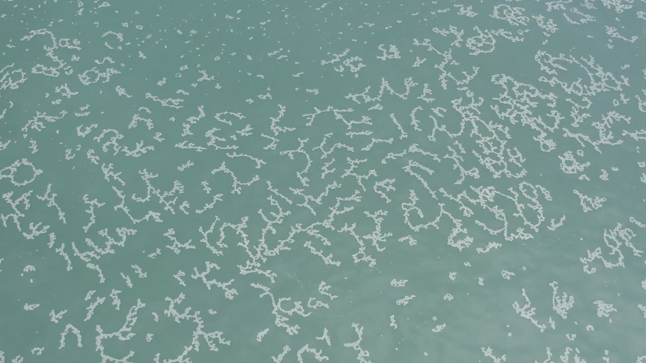 Blue green water fills the frame as thin white floating shapes cluster near the upper and lower portions, with no visible people.