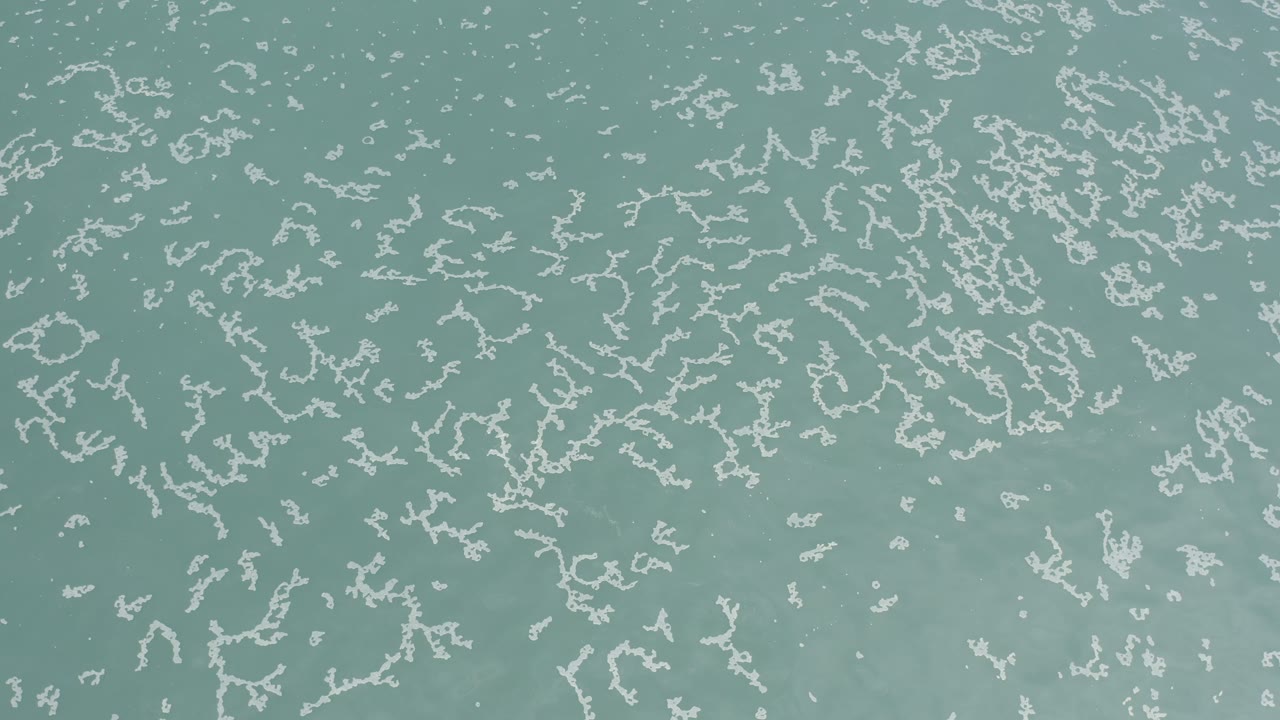 Blue-green water in Los Cabos, Mexico, fills the frame with thin white surface markings clustered across the upper and center areas and no visible people.