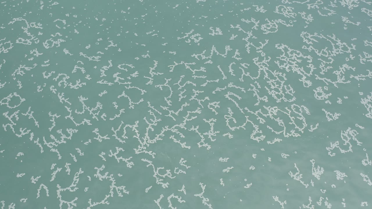 Overhead view of blue-green ocean water in Los Cabos, Mexico, with scattered white foam lines and no visible people at the start of the clip.